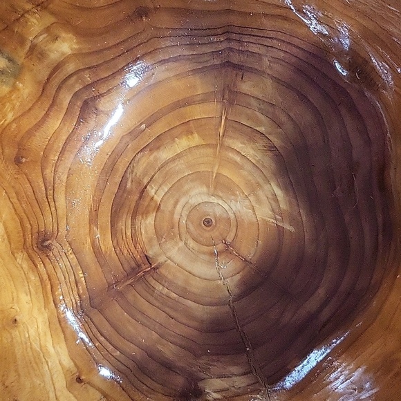 Large Hollow Carved Wood Stump Catchall Bowl Bin 8.5" Wide 5.5" Tall Burl Wood - Picture 6 of 6